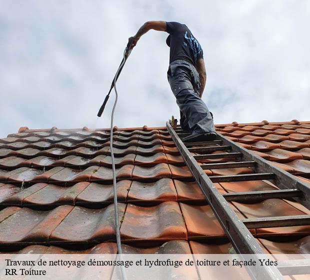 Travaux de nettoyage démoussage et hydrofuge de toiture et façade ydes-15210 RR Toiture