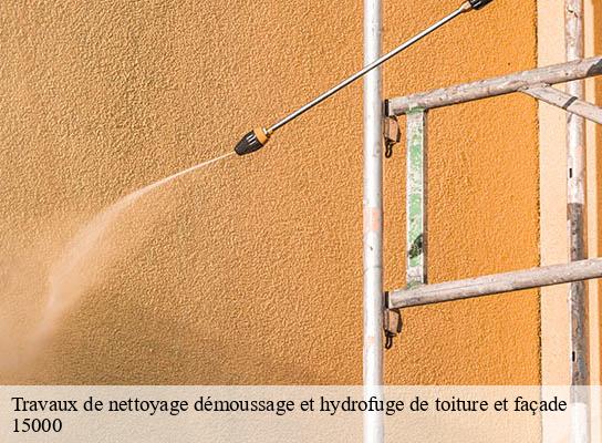 Travaux de nettoyage démoussage et hydrofuge de toiture et façade ytrac-15000 RR Toiture